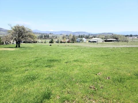0 Greenleaf Dr, Eagle Point, OR 97524 photo 2