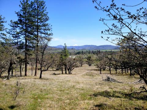 0 Greenleaf Dr, Eagle Point, OR 97524 photo 12
