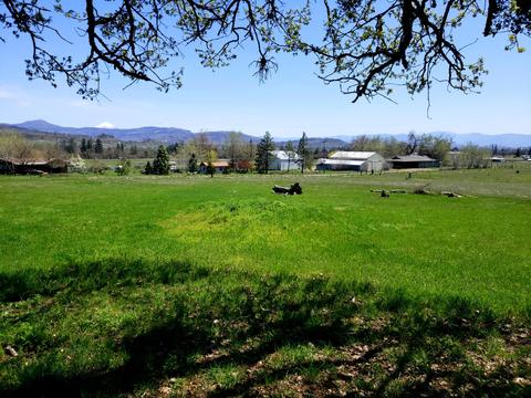 0 Greenleaf Dr, Eagle Point, OR 97524 photo 4