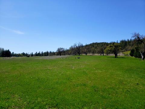 0 Greenleaf Dr, Eagle Point, OR 97524