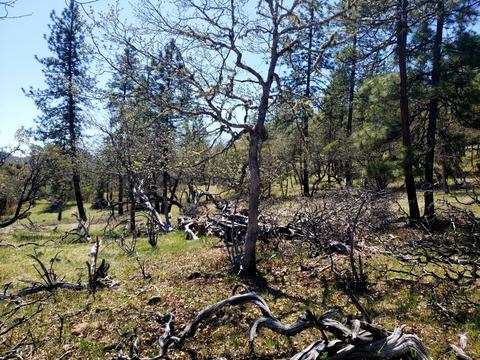 0 Greenleaf Dr, Eagle Point, OR 97524 photo 8