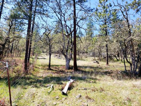 0 Greenleaf Dr, Eagle Point, OR 97524 photo 11
