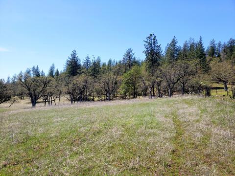 0 Greenleaf Dr, Eagle Point, OR 97524 photo 6