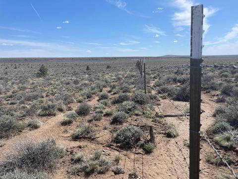0- SE Tl 2500 Se Pringle Flat Rd, Prineville, OR 97754