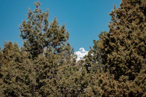 13600 SW Chipmunk Rd, Terrebonne, OR 97760