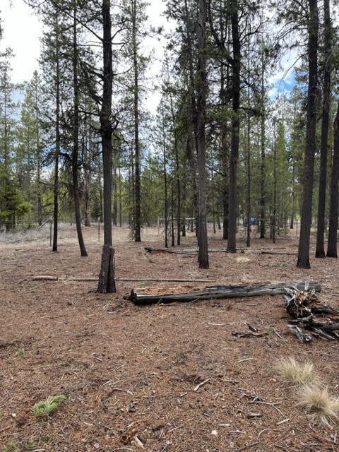 53967 Yoho Dr, La Pine, OR 97739 photo 8
