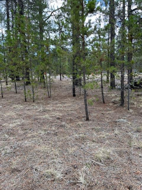 53967 Yoho Dr, La Pine, OR 97739 photo 19
