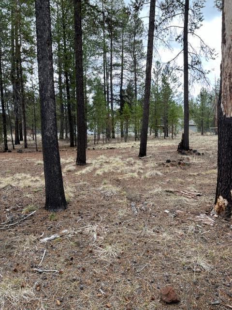 53967 Yoho Dr, La Pine, OR 97739 photo 16