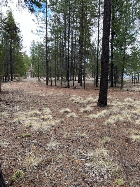53967 Yoho Dr, La Pine, OR 97739 photo 17