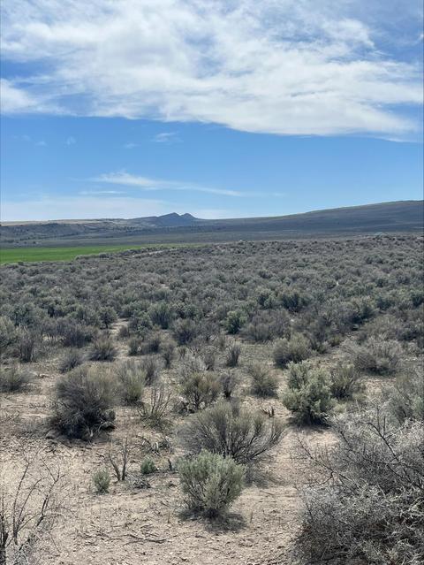 No Name Road, Christmas Valley, OR 97641