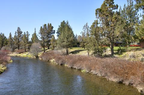 64750 Cook Ave, Bend, OR 97703 photo 17