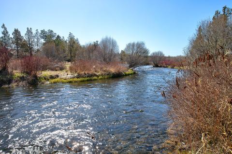64750 Cook Ave, Bend, OR 97703 photo 3