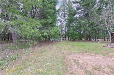 155 Maureen Dr, Cave Junction, OR 97523 photo 28