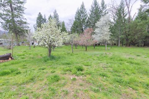 155 Maureen Dr, Cave Junction, OR 97523 photo 34