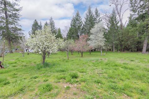 155 Maureen Dr, Cave Junction, OR 97523 photo 35