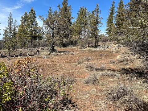 lot19 Nighthawk Dr, Bonanza, OR 97623