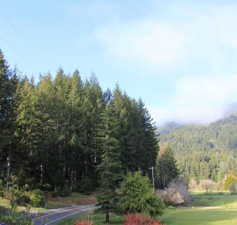 Cedar Valley Road, Gold Beach, OR 97444
