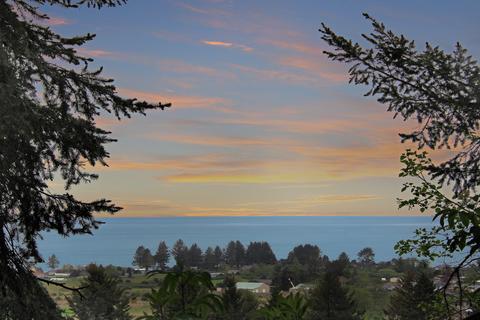 Pelican Bay Drive, Brookings, OR 97415