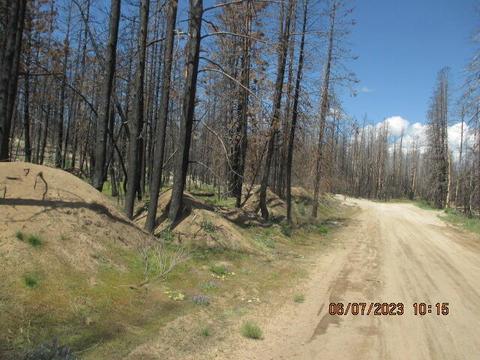 lot16 Black Pine Rd, Bly, OR 97622