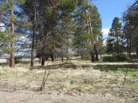 0 Longhorn Loop #883882, Chiloquin, OR 97624