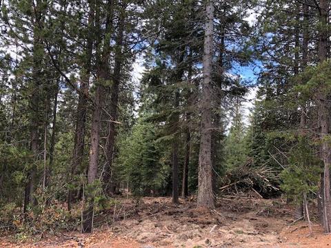 31 Clear Spring Way, Crescent Lake, OR 97733