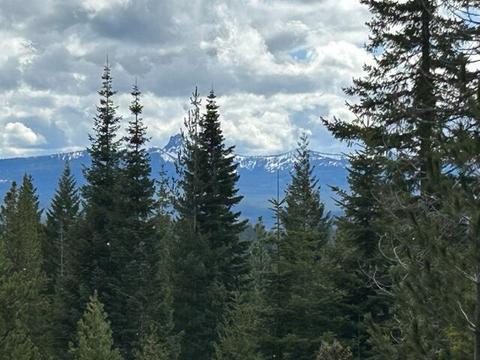 8 Diamond Peak Dr, Crescent Lake, OR 97733