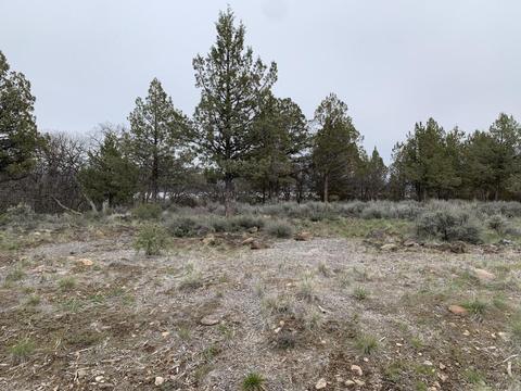 lot1173 Pipit Ct, Klamath Falls, OR 97601