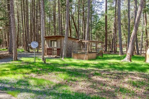 569 The Trees Dr, Williams, OR 97544 photo 32