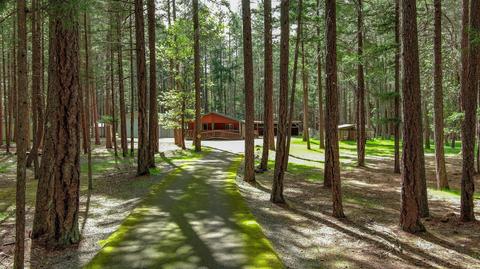 569 The Trees Dr, Williams, OR 97544 photo 42