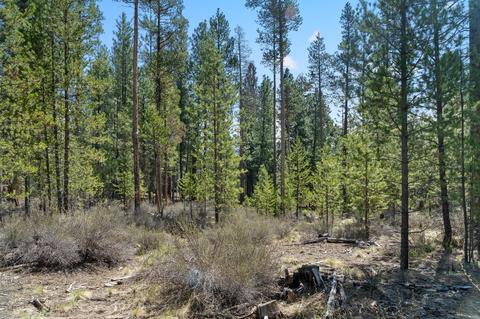 15348 Bear St, La Pine, OR 97739