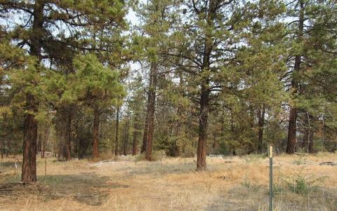 24159 Arrowhead Ln, Sprague River, OR 97639 photo 8