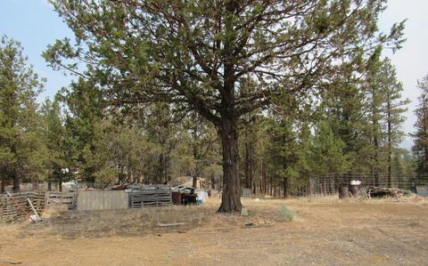 24159 Arrowhead Ln, Sprague River, OR 97639 photo 6