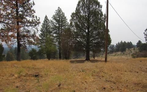 24159 Arrowhead Ln, Sprague River, OR 97639 photo 4