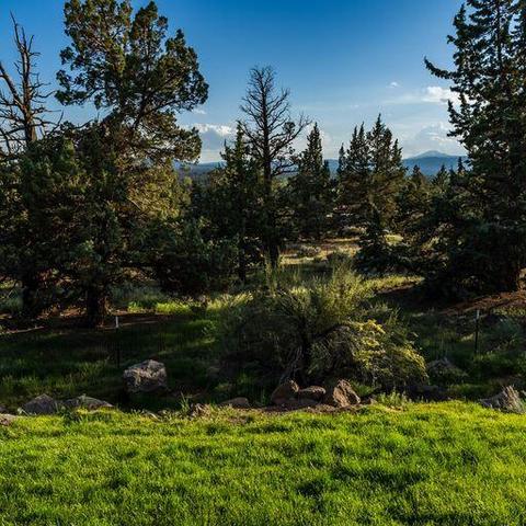 65140 78th St, Bend, OR 97703 photo 38