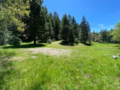 805 Tyler Creek Rd, Ashland, OR 97520