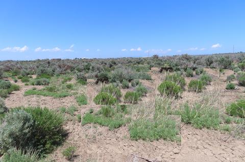 0 Mountain Ln, Christmas Valley, OR 97641