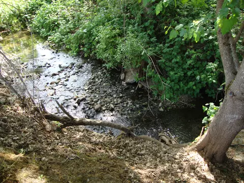 105 Brolin Ct, Rogue River, OR 97537 photo 5