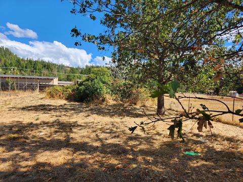 1744 Laurel Rd, Cave Junction, OR 97523 photo 4