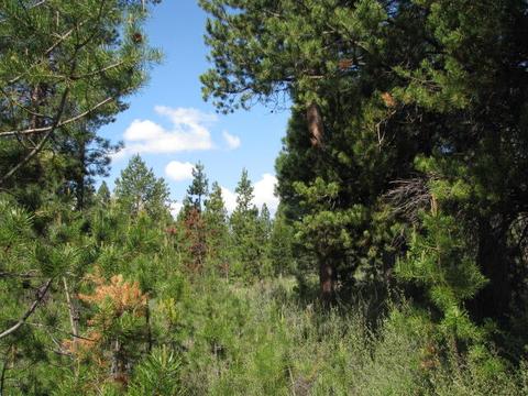 1918 Hackett Dr, La Pine, OR 97739 photo 2