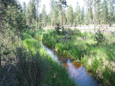 1918 Hackett Dr, La Pine, OR 97739 photo 3