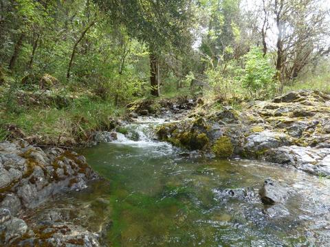 2832 Winona Rd, Grants Pass, OR 97526