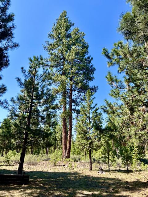 14195 Whitewater Loop, La Pine, OR 97739 photo 29