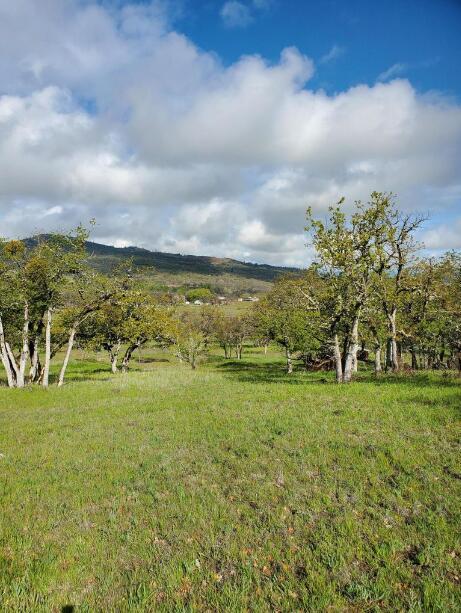 Davanna Drive, Eagle Point, OR 97524