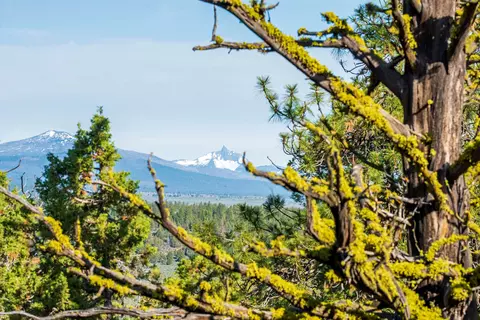 64845 Collins Rd, Bend, OR 97703 photo 40