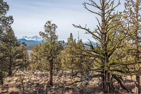 64845 Collins Rd, Bend, OR 97703 photo 38