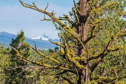 64845 Collins Rd, Bend, OR 97703 photo 42
