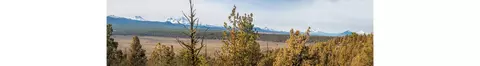 64845 Collins Rd, Bend, OR 97703 photo 47