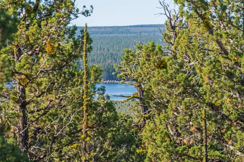 64845 Collins Rd, Bend, OR 97703 photo 46