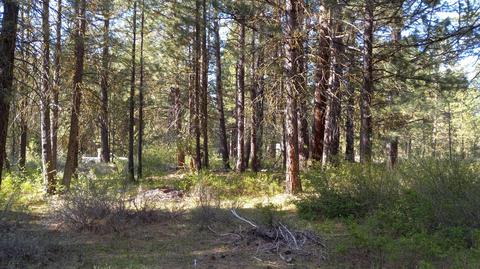 Harriette Drive, Klamath Falls, OR 97601