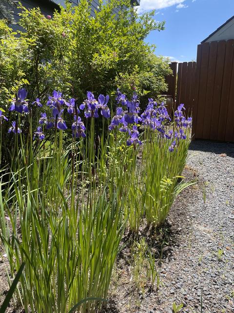 61189 Ridgewater Loop, Bend, OR 97702 photo 24
